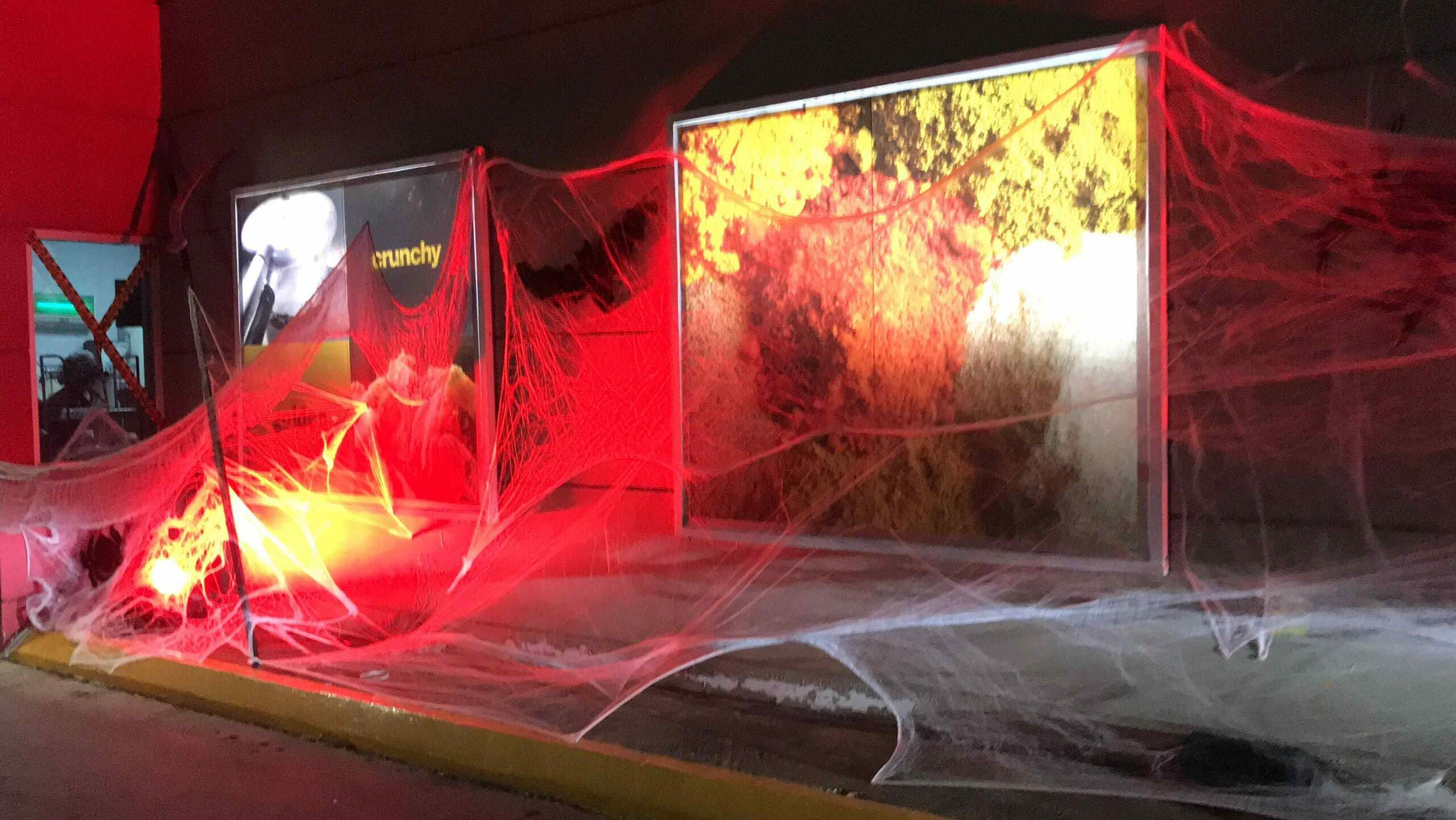 gallery grid image